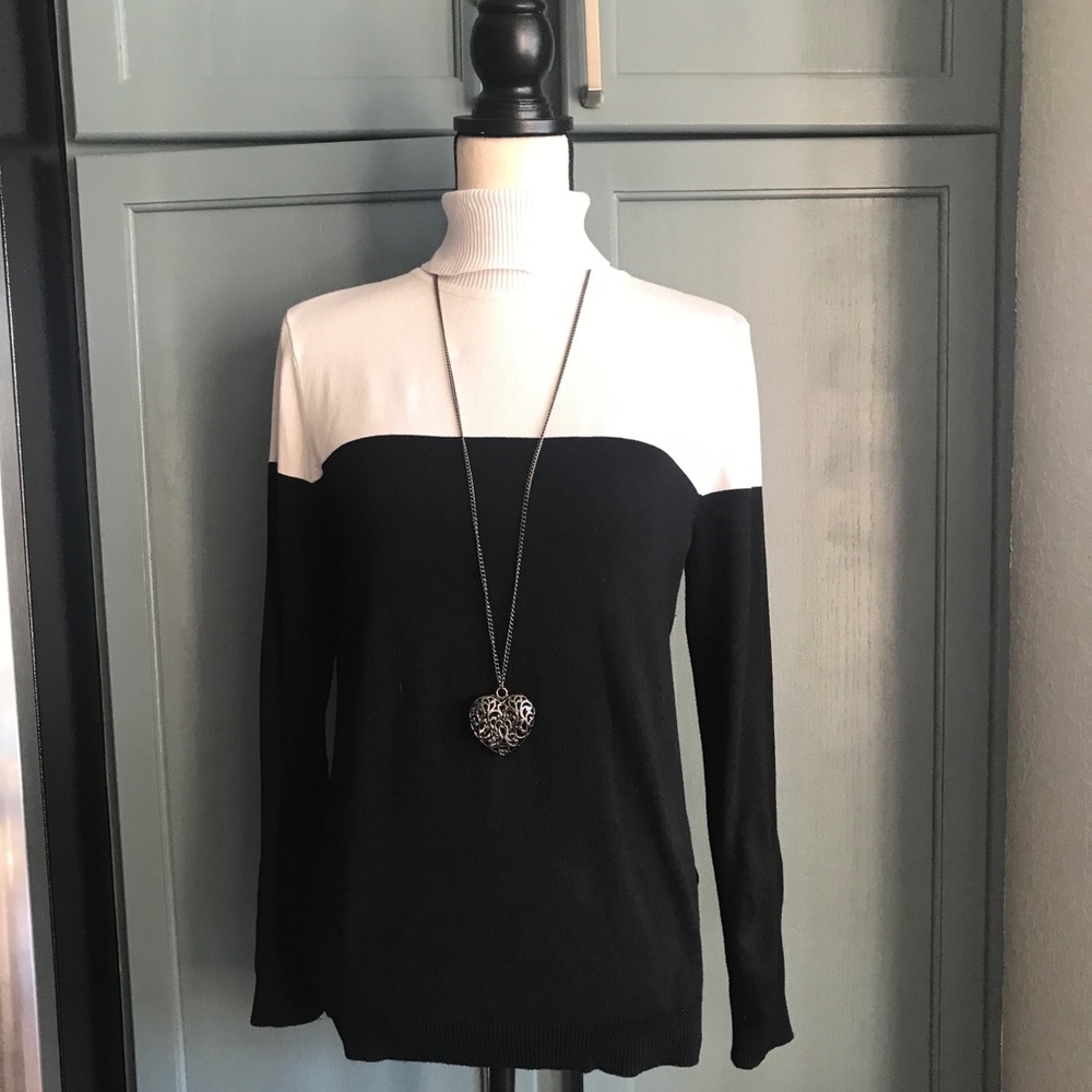 Turtleneck color block sweater.